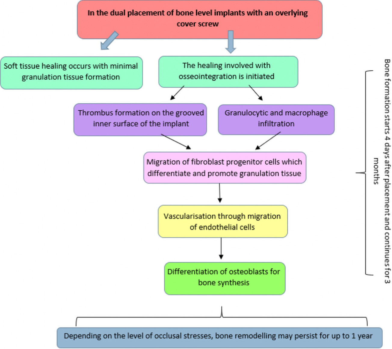 Dental Update - Surgical Wound Healing in the Oral Cavity: a Review